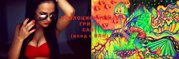 apvp Карталы